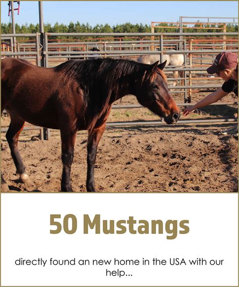 adopt your own virtual horse.